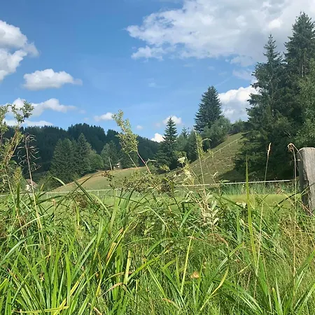 Chalet Chalet Mariapfarr